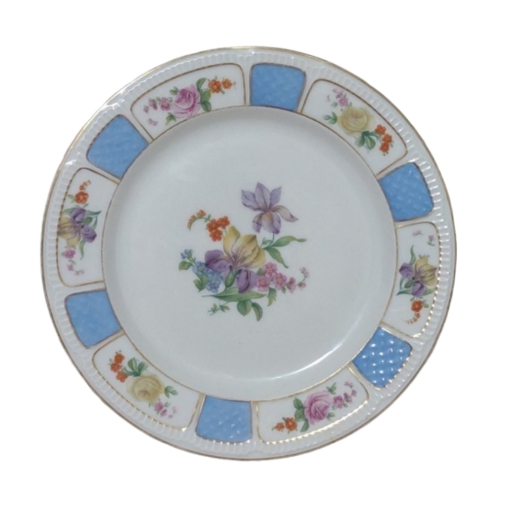 Antique Haas & Czjzek H.C. Schlaggenwald Black Knight Plate Gold Trim